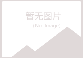 鹤壁山城匆匆金属有限公司